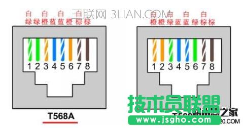 ���Ӳ鿴�W������   ��