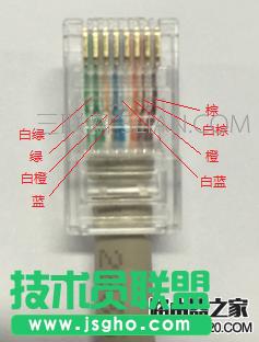 ������_�Ĳ鿴�W������