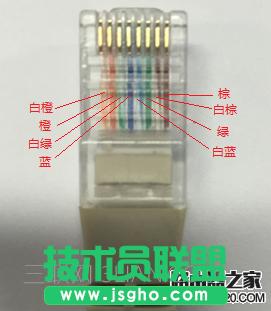 ������_�Ĳ鿴�W������