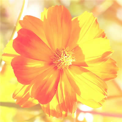 ���\(y��n)���~���^��