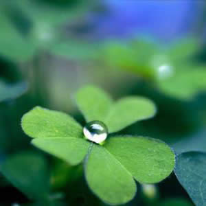 ���\(y��n)���~���^��