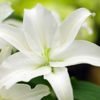 Ů����ʲô΢���^������m��Ů��ʹ�õ�΢���^��_΢��