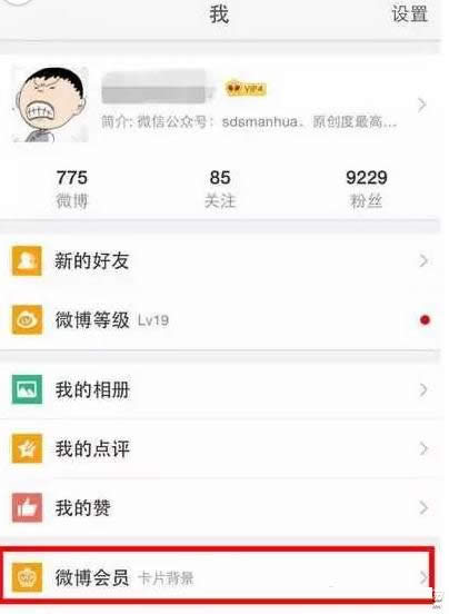 ����΢��