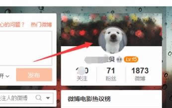 ����΢��