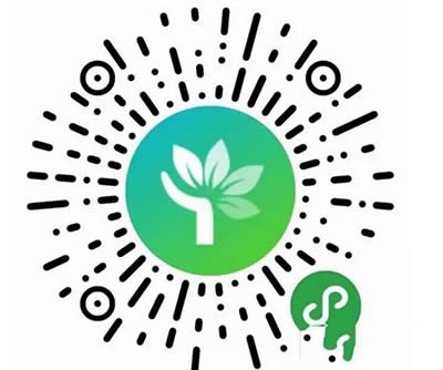 ΢��С����