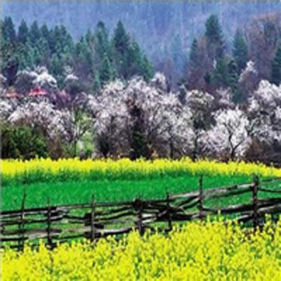 �^���L��