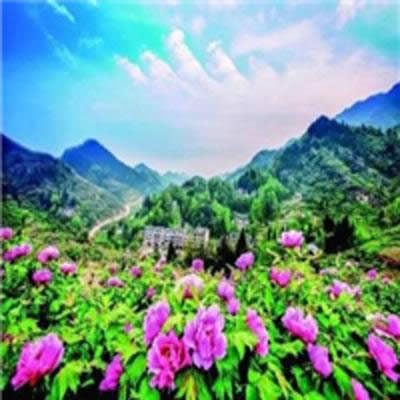 �^���L��