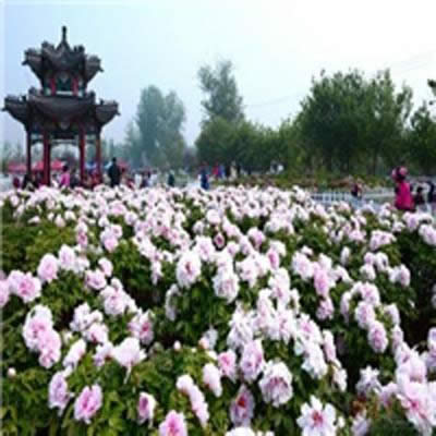 �^���L��