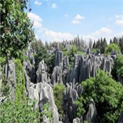 �^���L��