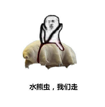 ƤƤ�r�����