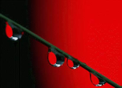 新年好動態(tài)表情包 新年好動態(tài)表情包