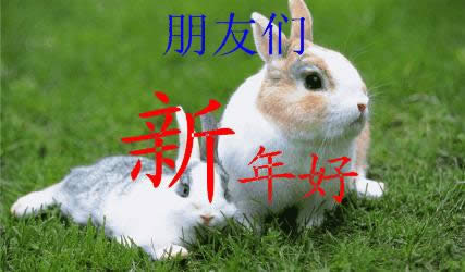 新年好動態(tài)表情包 新年好動態(tài)表情包