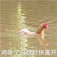 �u������