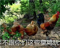 �u������