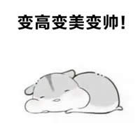 倉(cāng)鼠夫君手繪表情包 倉(cāng)鼠夫君手繪表情包