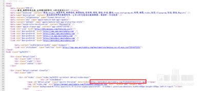 ����΢��