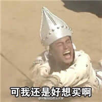 �pʮһ�����