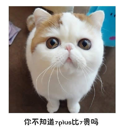 ؈������