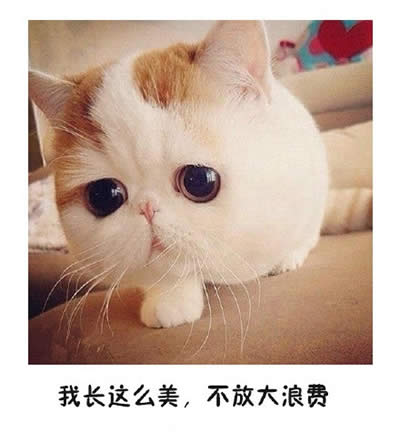 ؈������