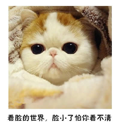 ؈������