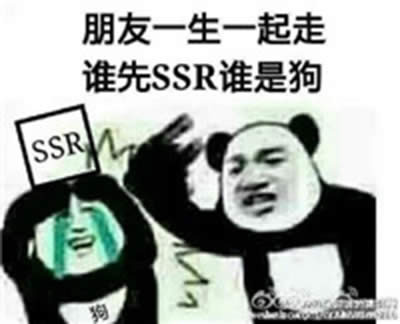 �ꖎ�SSRʽ������