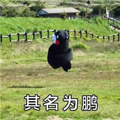 ��ڤ���~�����