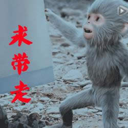 ����־С�ұ����