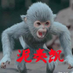 ����־С�ұ����