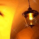 �̎��������