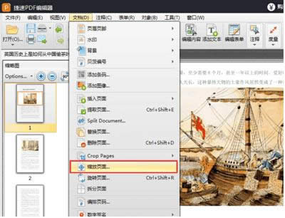 ����PDF��݋����