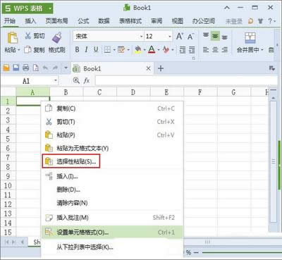 ��ɽWPS����