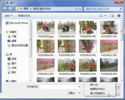 �x�񡰲����朽ӡ�����