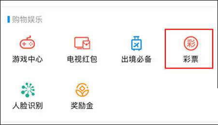 ֧������Ʊ