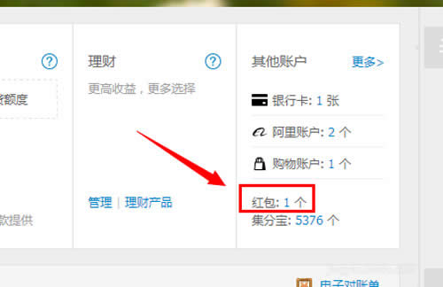 ��ô�Iȡ֧�����t��