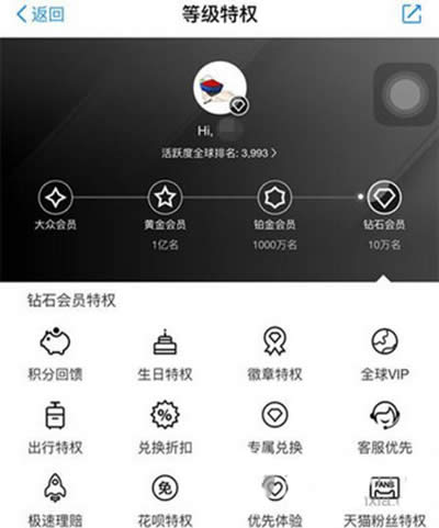 ֧�������T