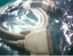 ���ڴ�ӡ��