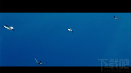 800瀏覽器怎么樣 800手機(jī)瀏覽器使用評測 800瀏覽器怎么樣 800手機(jī)瀏覽器使用評測