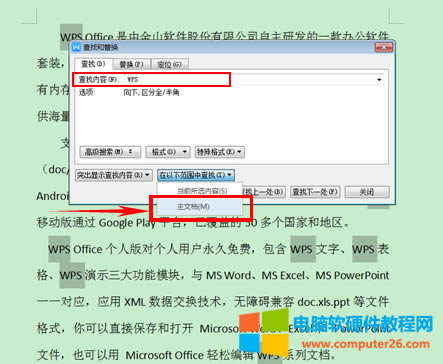 WPS��ô���҃���