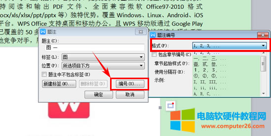 WPS��νo�DƬ�����}ע�������}ע