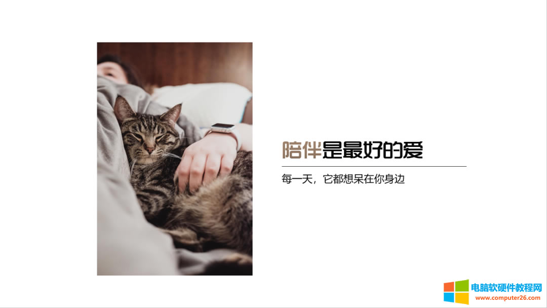 PPT��ô����̓�������D?