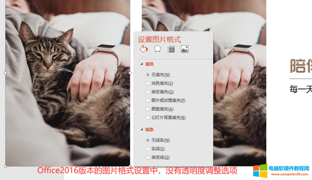 PPT��ô����̓�������D?