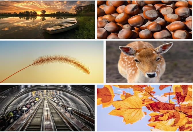 PPT���ĳ󳣱����S��������ȱ���@Щ���ɺ��ز��YԴ