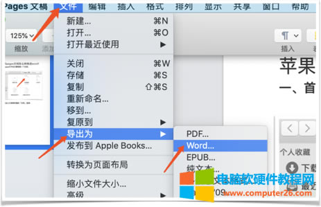 pages�Dword�ڶ���