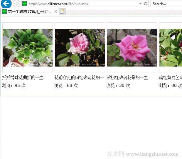 Wordճ�N�DƬ���@ʾ