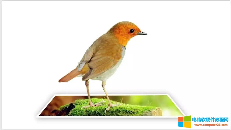 PPT制作另類立體合成圖片效果 PPT制作另類立體合成圖片效果