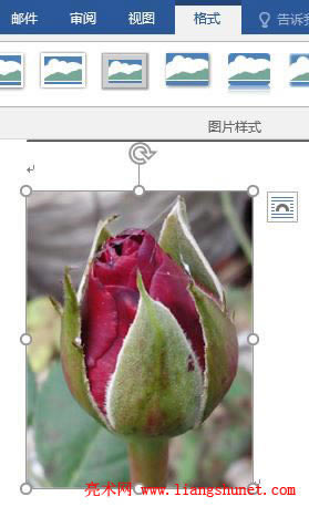 Word 2016 ��Q�DƬ