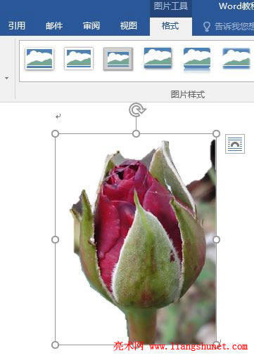 Word 2016 �DƬ�h����ӛ����������