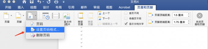 頁碼格式設(shè)置