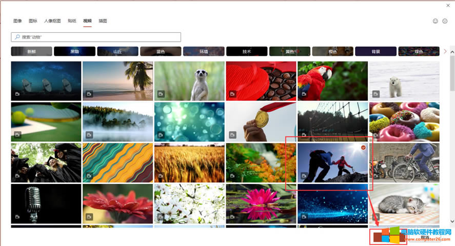 �D�񼯽���