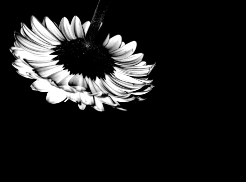 ��X�����_���˙C